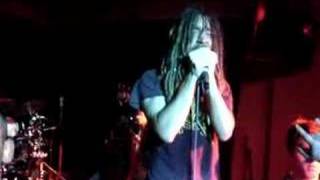 Sikth - when will the forest speak...?