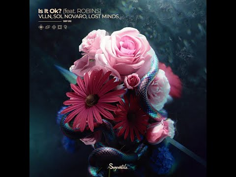 Lost Minds, Vlln, Sol Novaro, Robins - Is It Ok? (Extended Mix)