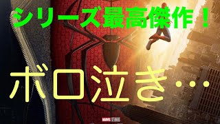 【号泣必至】 スパイダーマン：ブランド・ニュー・デイ ネタバレなしレビュー 映画レビュー レビュー 感想
