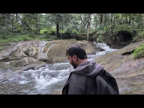 Fresh water stream with butterflies 🦋🦋
