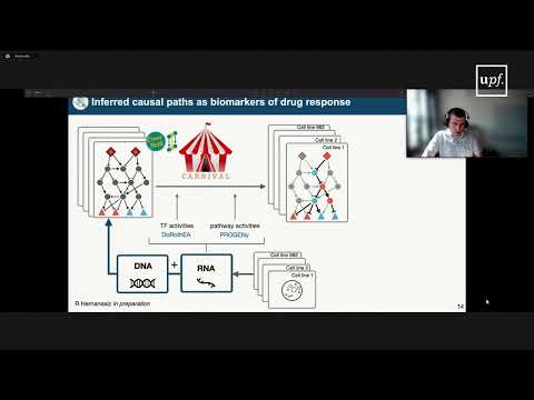 Mathematical modelling to translate -omics data in mechanistic understanding of diseases