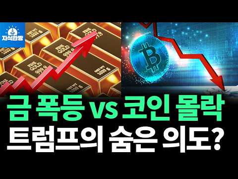 금값 치솟고 비트코인 하락, 다음은 주식 차례입니다