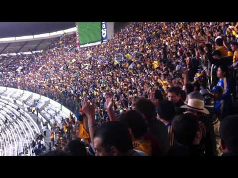 Así la afición Tigre invade el Estadio Azteca, "Esto es Tigres." 2 de 3