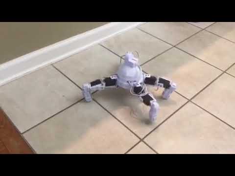 Ezang's My New Robot - Spider Bot