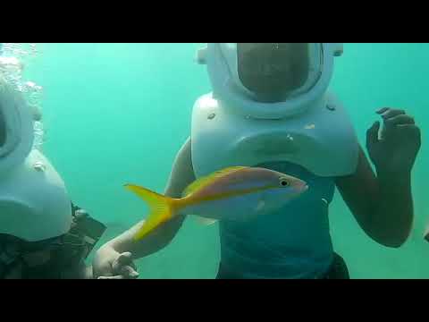 Under water Trekking - Puerto Rico