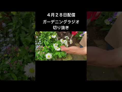 メンテナンスフリーの屋外植物はどれを選ぶべきですか?あらゆる庭に適した一年生、多年生、耐久性のある種です。  庭園