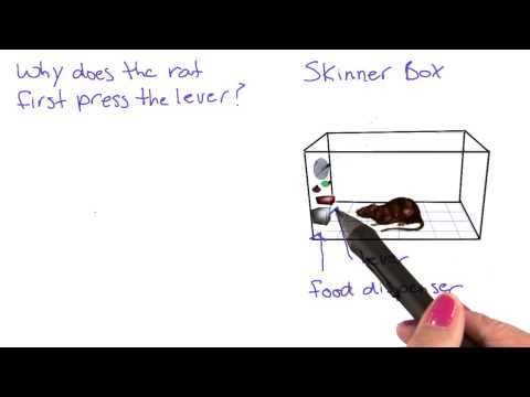 Skinner box - Intro to Psychology