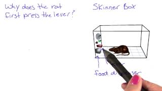 Skinner box - Intro to Psychology