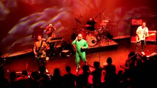 REALIZO TODO BIEN - CHANCHO EN PIEDRA SCD 2014