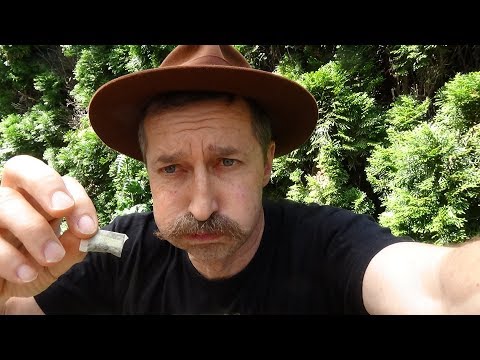 Snus Selbstversuch Katastrophe