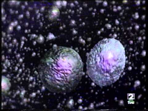 la gripe y el sistema inmunitario