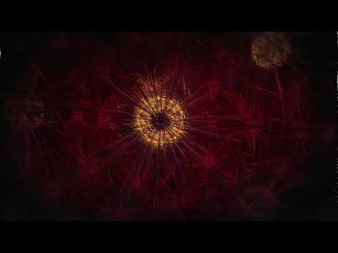 Kakiet ~ Dokąd lecisz