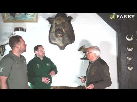 Parey Jagdausbildung - Prüfungssimulatioin Teil 6 Schwarzwild