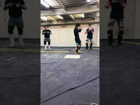 バッファローMMAスパーリング風景