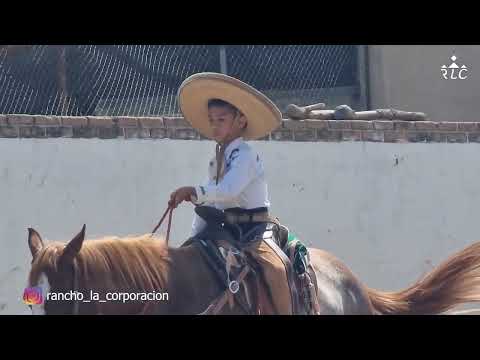 C17P7 EL CAMINO AL FUTURITY VIP - José Ramos