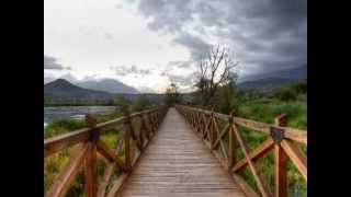 *Danza a Distanza* - *Pooh*