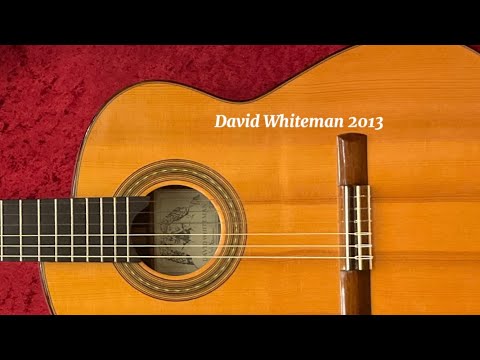 David Whiteman Cutaway 14-Fret Joint Classical Guitar Spruce/Rosewood (Doctor Sound Stock Item) 2013 image 11