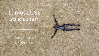 Lumos Robotics LUS1 Standup Test: Falling down? No worries, LUS1 can handle#Lumos Robotics
