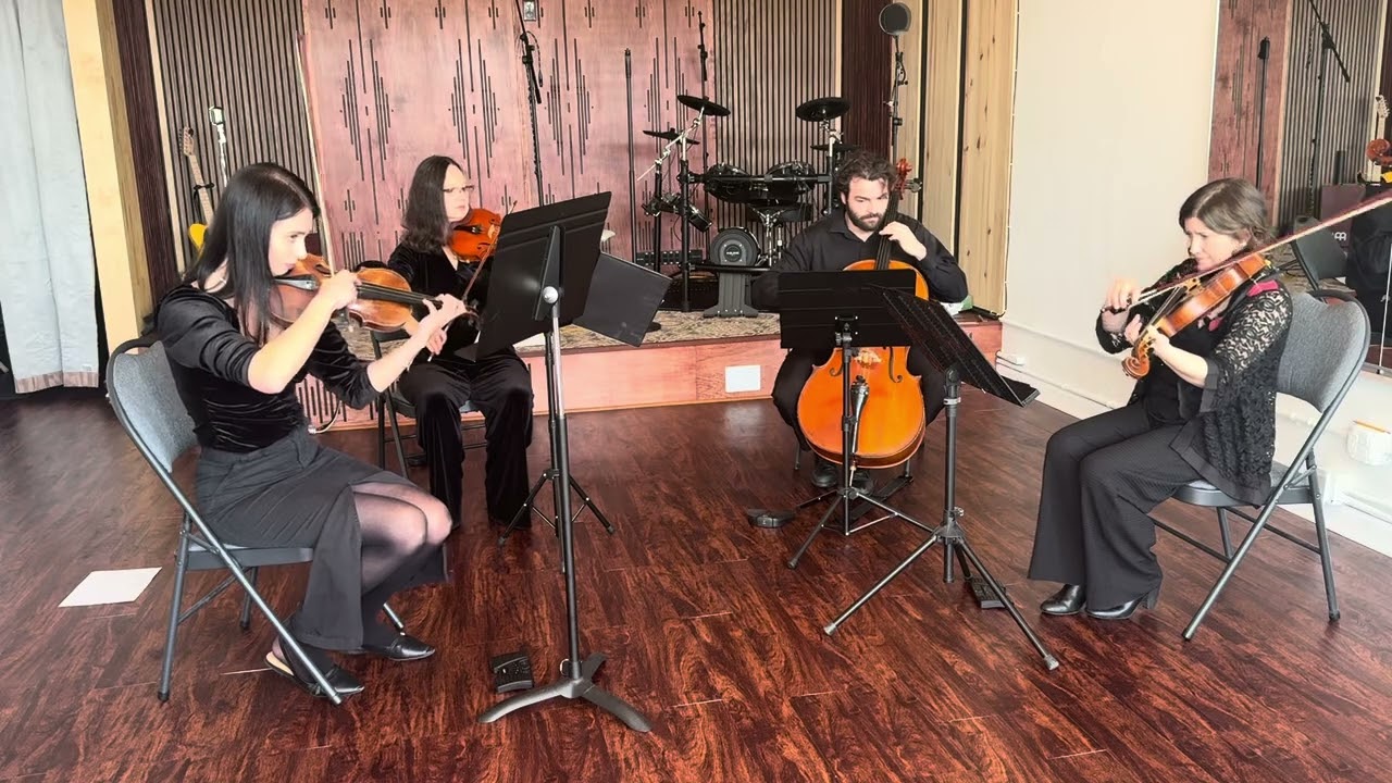 Promotional video thumbnail 4 for Viva La Vida String Quartet LLC