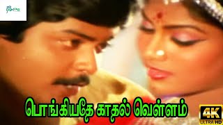 Pongiyathe Kathal Vellam || பொங்கியதே காதல் வெள்ளம் ||S.P.B,S.Janaki || Love Duet melody H D Song