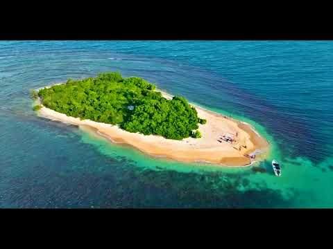 The Hip Abduction ft. Trevor Hall - Pacific Coast Highway (Alexander Madz Beat & Bass Remix).