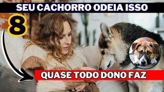 8 Coisas Que Prejudicam Seu Cachorro Sem Você Notar (Você Faz TODOS Os Dias)