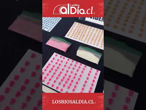 PDI Valdivia incauta más de 680 comprimidos de drogas sintéticas y detiene a ciudadano extranjero