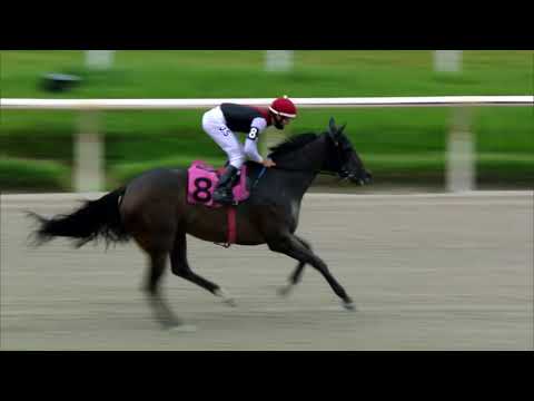 210130 c05 R Segade/ OMERTA (BRZ)