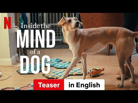 Inside the Mind of a Dog (Teaser) | Trailer in English | Netflix