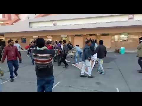 So bad tiger 22.12.2017