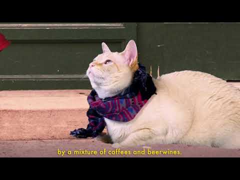 Winds of Change (Cat Soap Opera) Episode 34