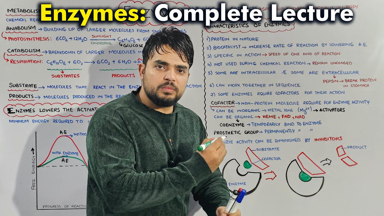 Full CHAPTER in one Video