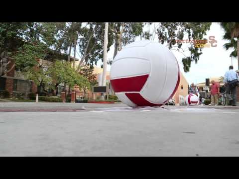 USC Beach Volleyball - Nicolette the Artist