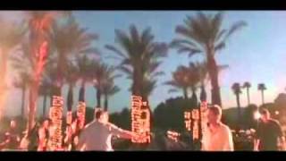 Parrot Entertainment & Pirate Rentals