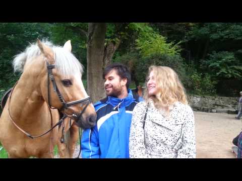 Happy Birthday Nermeen :)