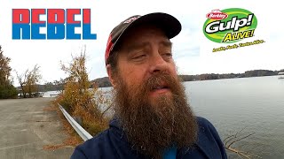 REBEL JERKBAIT vs 1 Inch GULP ALIVE MINNOW (Which Lure is Better?)