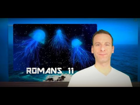 Romans Chapter 11 Summary and What God Wants From Us