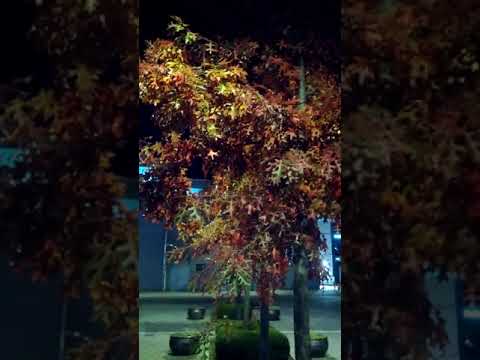 Estação O Ryu-Dong(144)-20