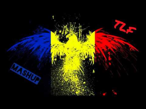 Boier Bibescu feat. Puya & Jon - Stare de show (TLF Mashup)