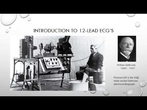 image-Who discovered EKG?