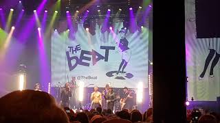 The Beat & The Selecter - Enjoy Yourself