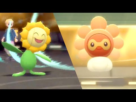 Never Used Sun Team vs. Over Used Team! | BDSP Wifi Battle