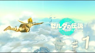 【ゼルダの伝説 ティアーズオブザキングダム】勢いで買っちゃった　【１】