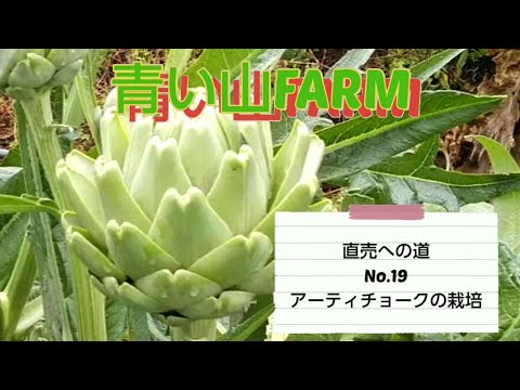 園芸 アーティチョーク、さまざまな利点