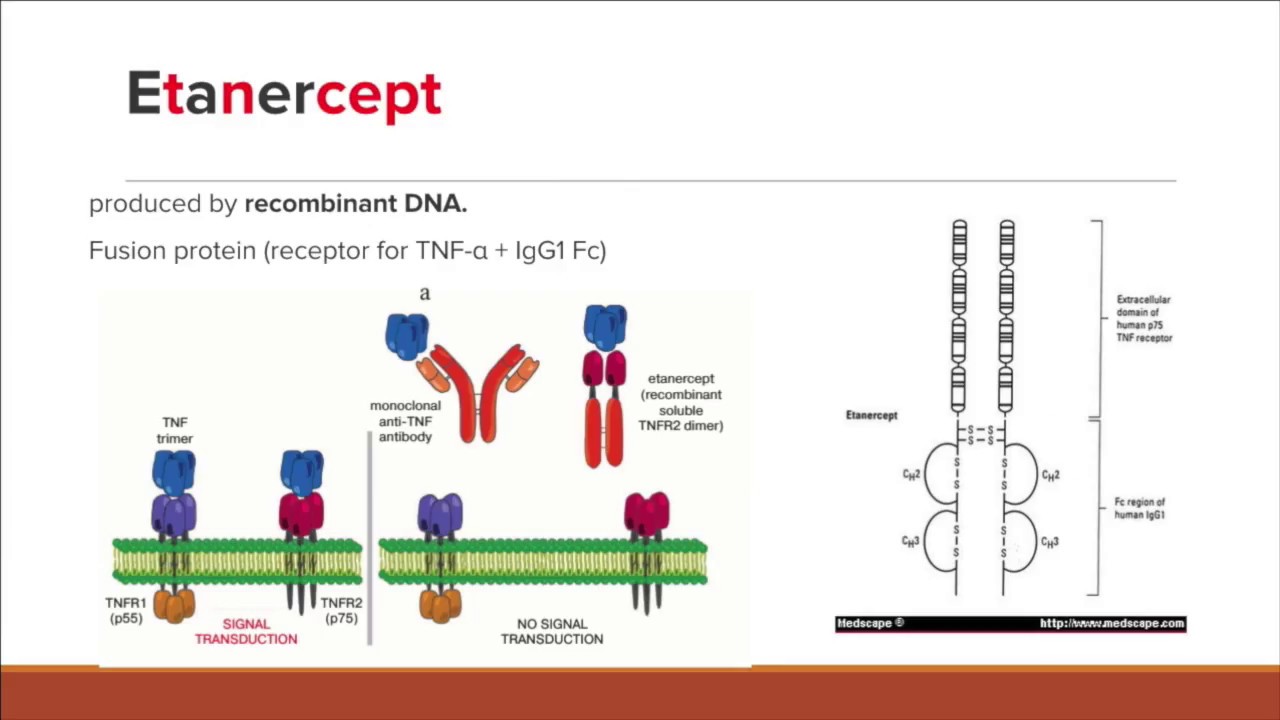 TNF-a inhibitors Simplified for the USMLE and COMLEX