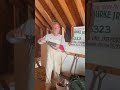 Old School Roof Rafter repair @mrburkescarpentryclassqhs5452  #Sawzall #milwaukietools
