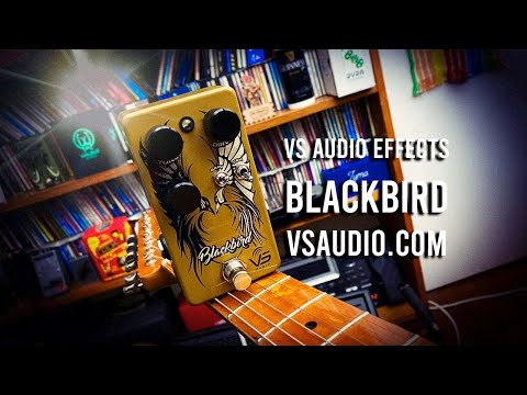 Vs Audio BlackBird 2021 - Present - Tan image 6