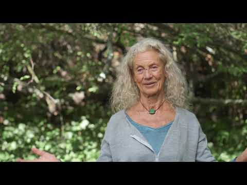 Angela Farmer - The only thing required in life . . .