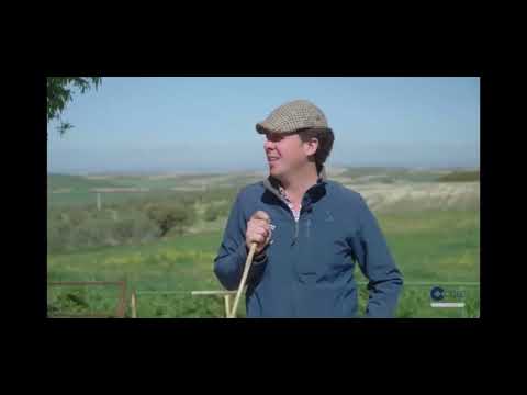 Antonio castillo y sus mulos en TODOCABALLO