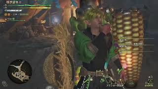 ワイルズまったり遊ぶだけ